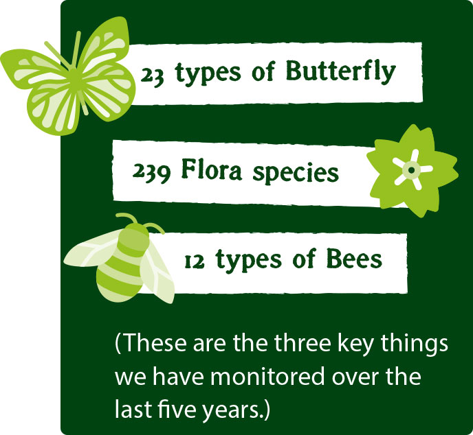 The three things we have monitored over the last five years are 23 types of butterfly, 239 flora species and 12 types of bees.