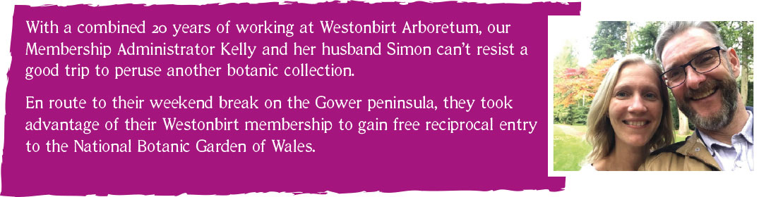 With a combined 20 years of working at Westonbirt Arboretum, our Membership Administrator Kelly and her husband Simon can't resist a good trip to peruse another botanic collection, the National Botanic Garden of Wales.