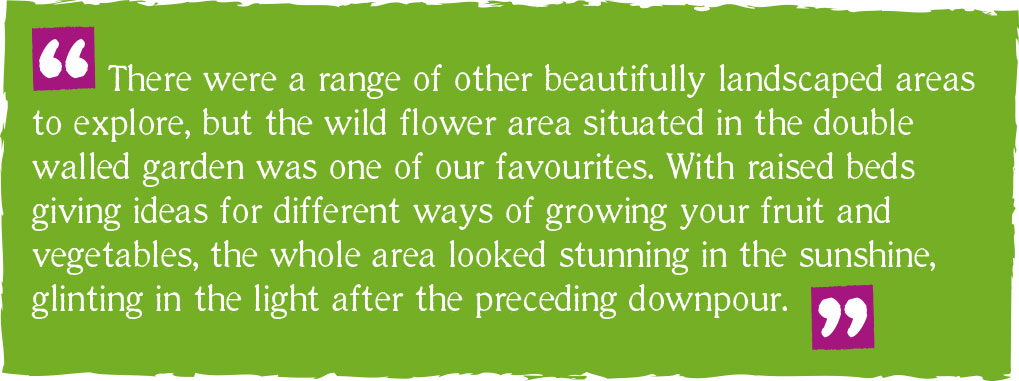 There were a range of other beautifully landscaped areas to explore, but the wild flower area situated in the double walled garden was one of our favourites. With raise beds giving ideas for different ways of growing your fruitt and vegetables, the whole area looked stunning in the sunshine, glinting in the light after the preceding downpour.