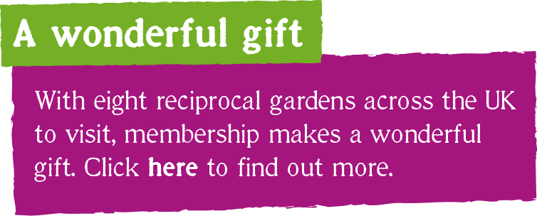 With eight reciprocal gardens across the UK to visit, membership makes a wonderful gift. Click here to find out more.