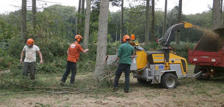 Tree Team hard at work