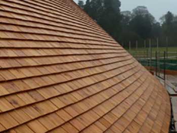 Roof shingles