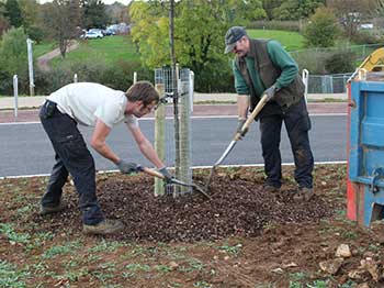 Mulching