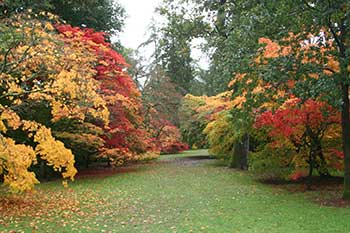 An autumn walk with...