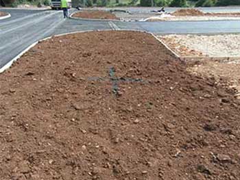 The blue cross marks the spot for a tree location. We are planting over 100 of them on the project site!