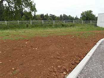 Due to good weather during construction, the grass is growing back of its own accord. Most areas will restore themselves in this way, although in some areas we will strew hay cut onsite to restore the natural grassland and local flora