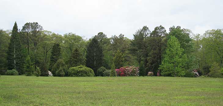 Polly Hill Arboretum