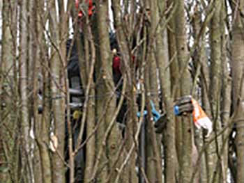 Attaching the branches to the structure