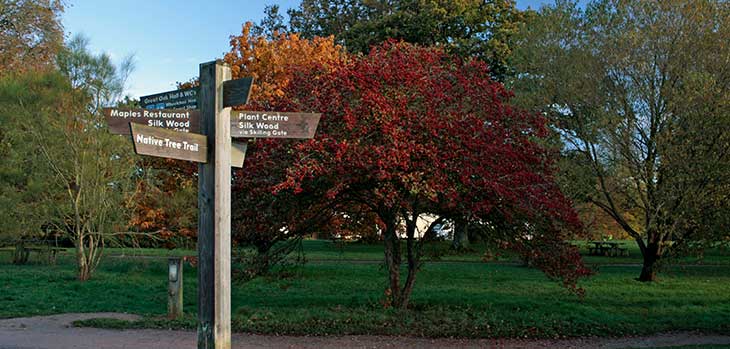 A sign post amongst the autumn trees