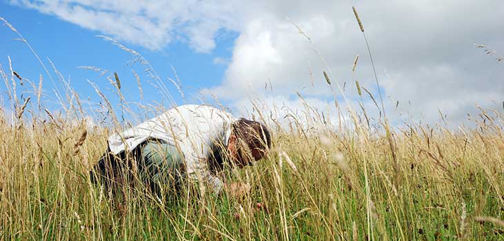 John Taylor getting to grips with grasses in the horse field