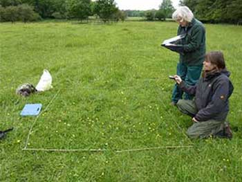 Identifying species within a quadrat