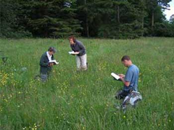 Volunteers surveying the Downs