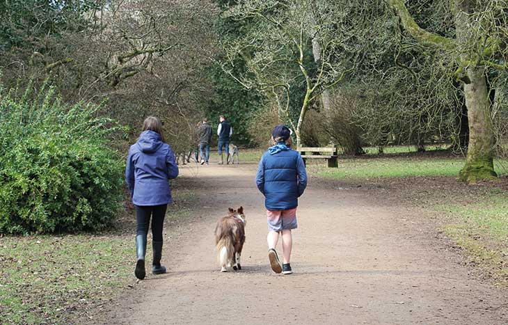 Westonbirt walkies  in the sun