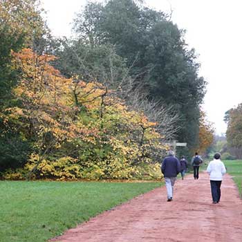 Old Arboretum