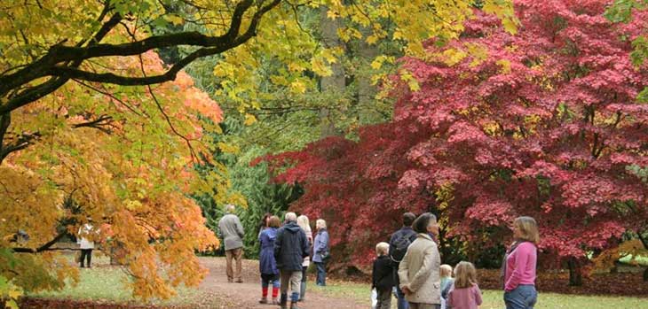 Autumn at Westonbirt