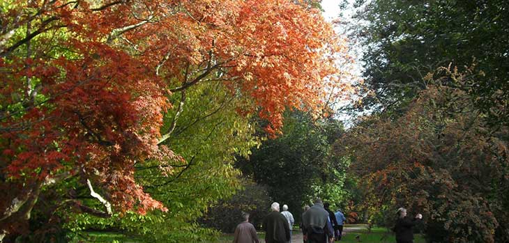 Autumn at Westonbirt