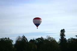 Flying over the Old Arboretum