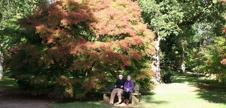 National Japanese Maple Collection