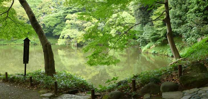 Koishikawa Korakuen Gardens