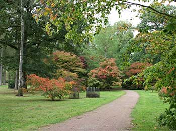 Autumn at Westonbirt