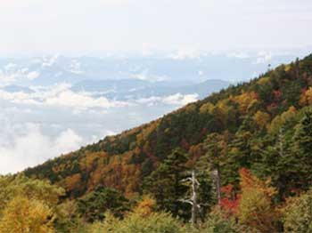 A photo from Westonbirt's last visit to Japan in 2008