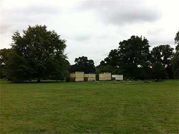 Catering ready to roll at Treefest