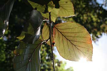 A wonderful guided walk