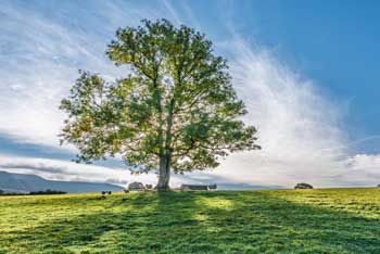 The ultimate guide to Westonbirt exhibitions this autumn (2019)