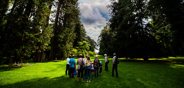 Facing the future at Westonbirt Arboretum