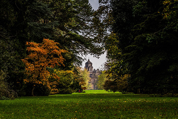 Westonbirt Arboretum to receive National Heritage Lottery Funding