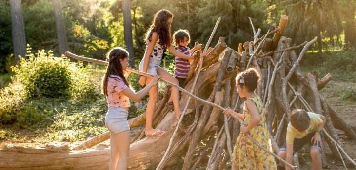 Summer at Westonbirt