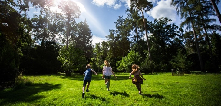 Summer at Westonbirt