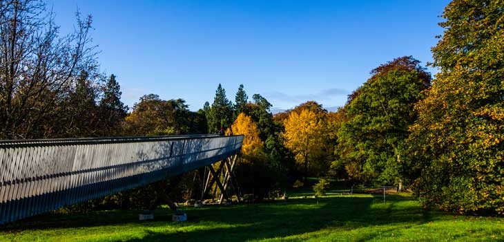 Treetop walkway