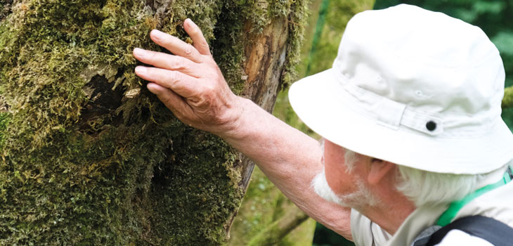 People exploring the trees at Westonbirt through touch, smell and sound