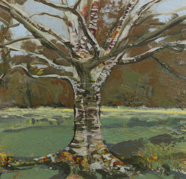 Winter silver birch Westonbirt by Rebecca Lockyear