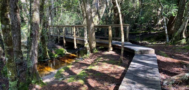 The National Parks were very accessible and often included low-impact boardwalks