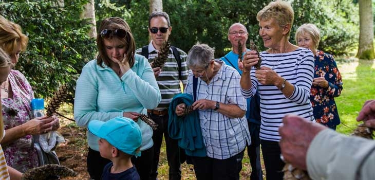 Guided walks at Westonbirt Arboretum