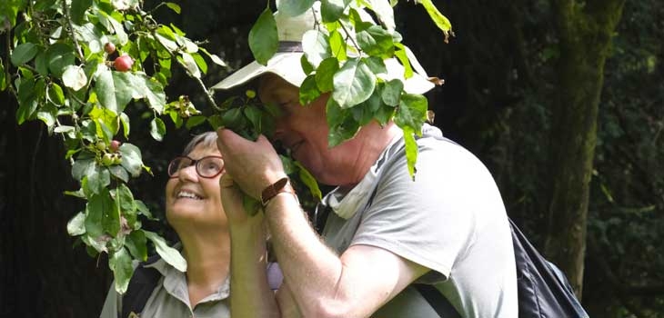 Guided walks at Westonbirt Arboretum