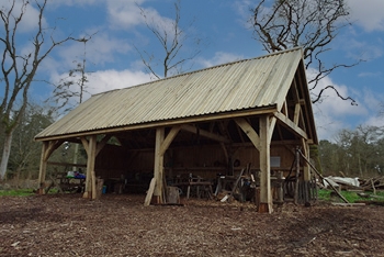 Coppicing: A New Shelter