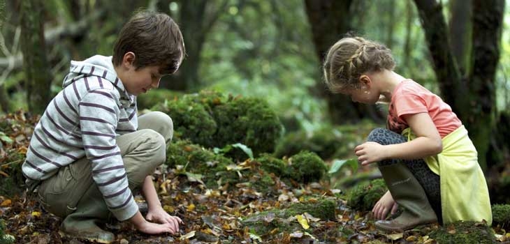 Children exploring nature