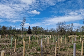 First Planting Season is Complete!