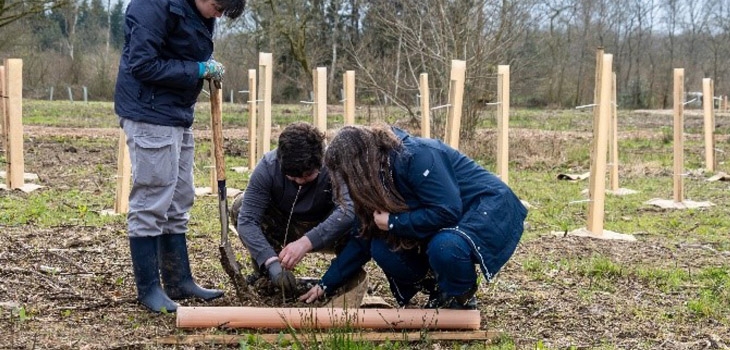 Children planting trees