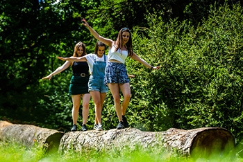 Why June is the Perfect Time to Explore Westonbirt Arboretum