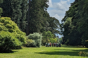 Make Westonbirt Your Summertime Escape 