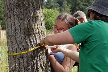 A Summer of Success &ndash; in numbers