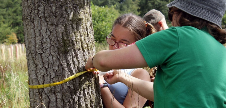 Silk Wood Community Planting Project