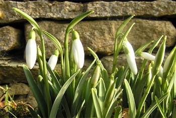 What&rsquo;s on in January 