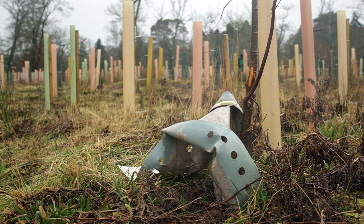 Damage caused by deer