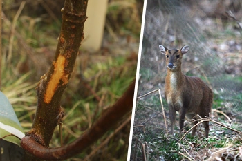 Hit the road (munt)jac!