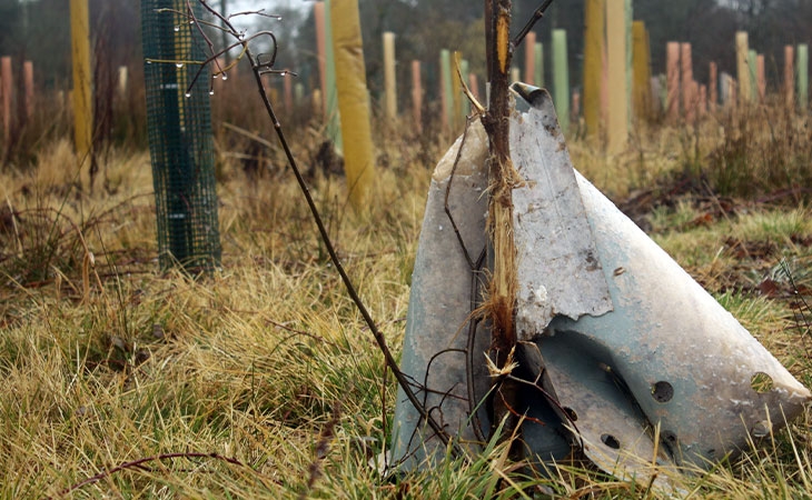 Damage caused by deer